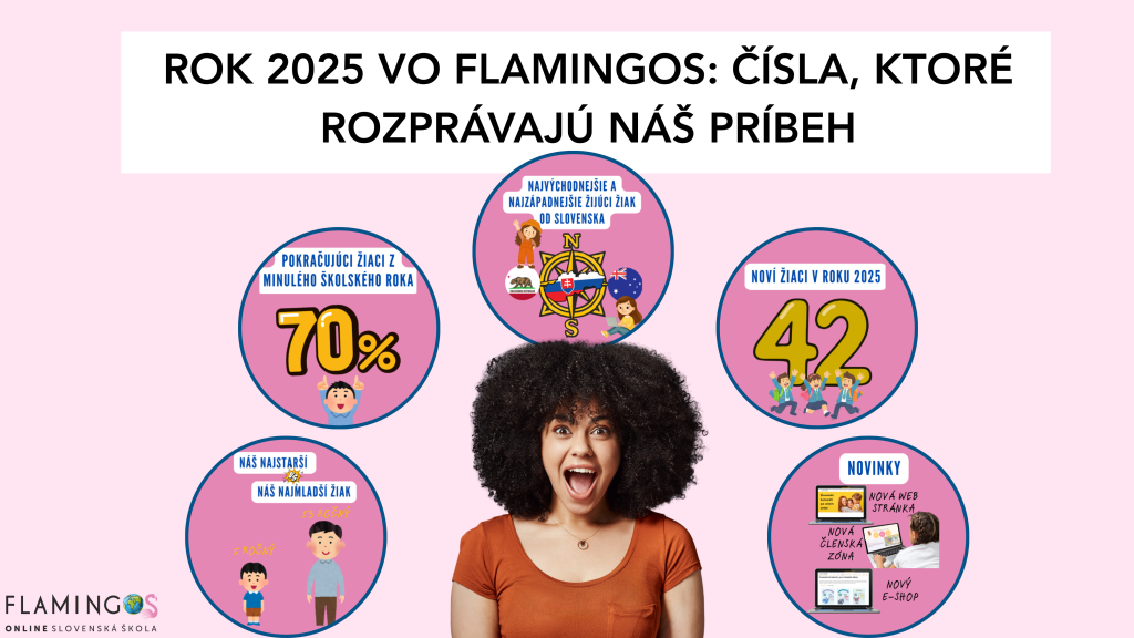 Rok 2025 vo flamingos: čísla, ktoré rozprávajú náš príbeh